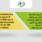 avis-c(4)