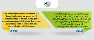 avis-c(4)